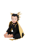 Baby Black Dragon Halloween Costume